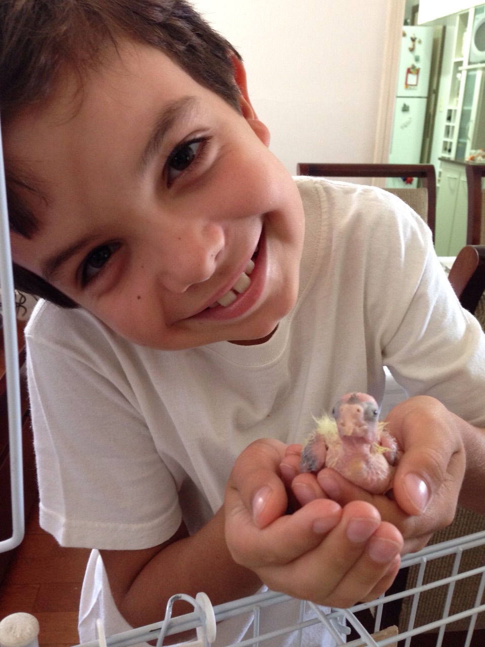 !cid_0BE9386F-7BD3-49A8-A2FB-99FEBF8D11F0